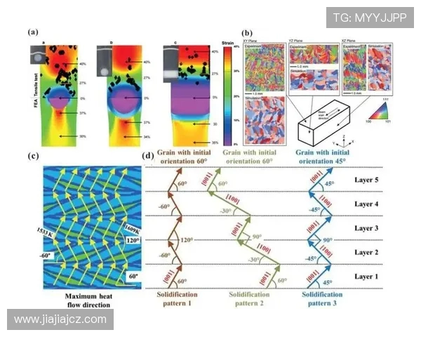 vs与am的模糊区别探讨及其在不同语境中的应用分析